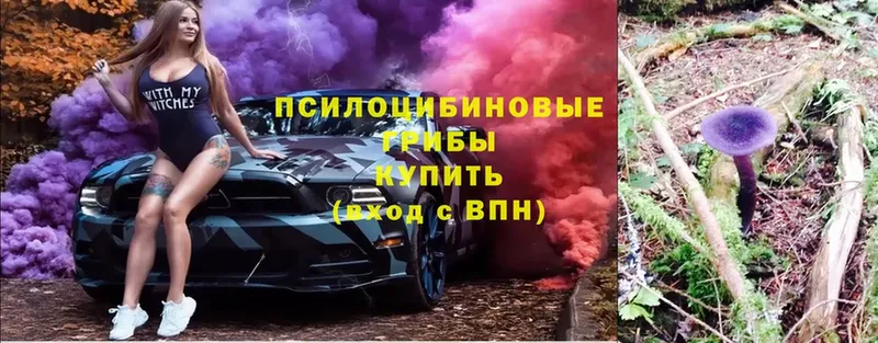 Галлюциногенные грибы мицелий  Оханск 